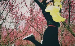 至上励合北京演唱会